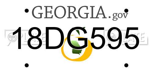 18DG595 Georgia License Plate