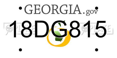 18DG815 Georgia License Plate