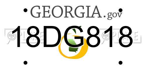 18DG818 Georgia License Plate