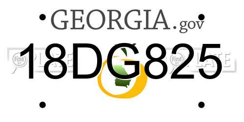 18DG825 Georgia License Plate