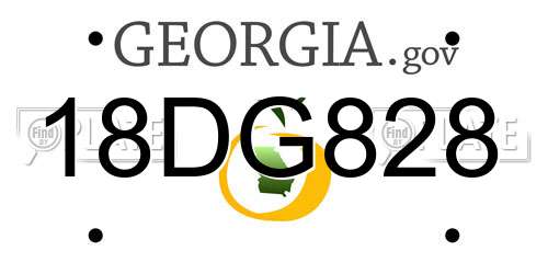 18DG828 Georgia License Plate