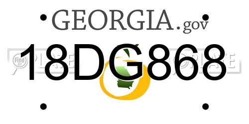 18DG868 Georgia License Plate