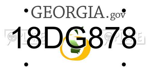 18DG878 Georgia License Plate