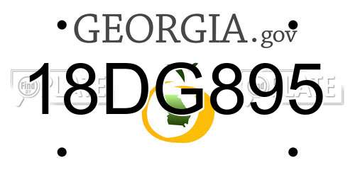 18DG895 Georgia License Plate