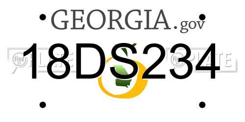 18DS234 Georgia License Plate