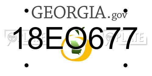 18EO677 Georgia License Plate