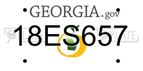 18ES657 Georgia License Plate