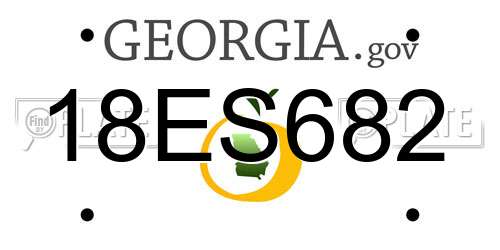 18ES682 Georgia License Plate