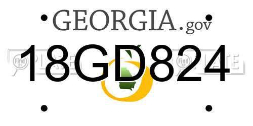 18GD824 Georgia License Plate