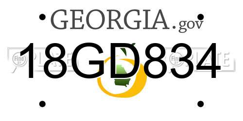 18GD834 Georgia License Plate