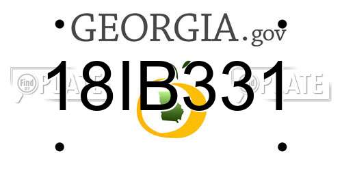 18IB331 Georgia License Plate
