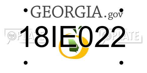 18IE022 Georgia License Plate