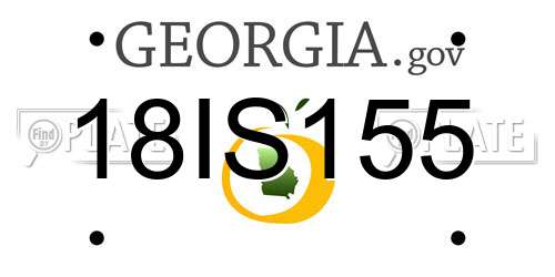 18IS155 Georgia License Plate