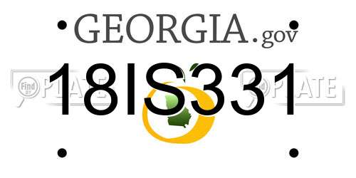 18IS331 Georgia License Plate