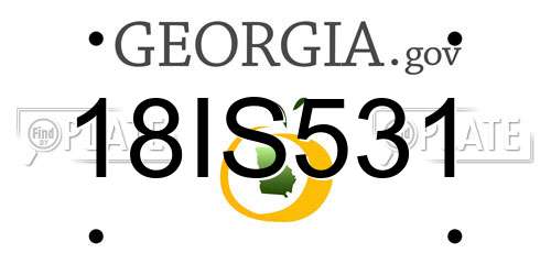 18IS531 Georgia License Plate