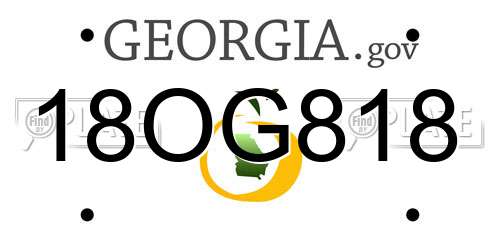 18OG818 Georgia License Plate