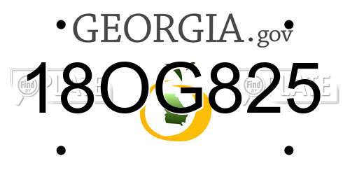 18OG825 Georgia License Plate