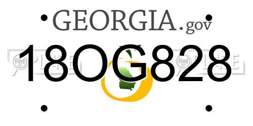 18OG828 Georgia License Plate