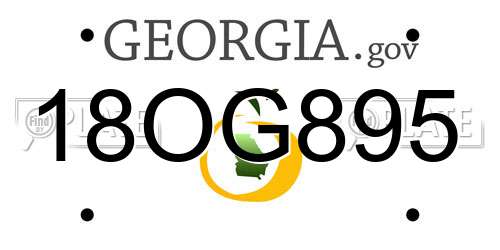 18OG895 Georgia License Plate