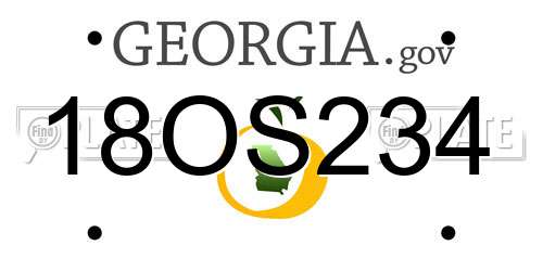 18OS234 Georgia License Plate