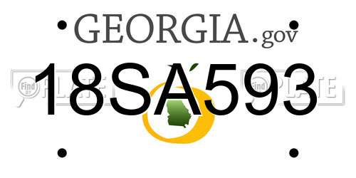 18SA593 Georgia License Plate