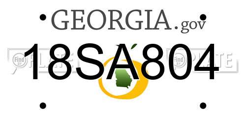18SA804 Georgia License Plate