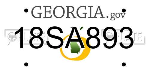 18SA893 Georgia License Plate