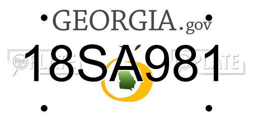 18SA981 Georgia License Plate