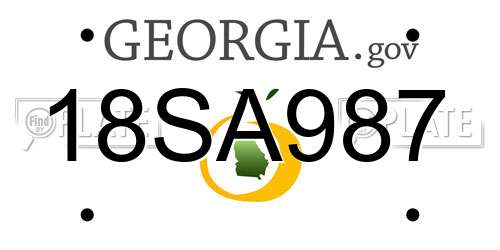 18SA987 Georgia License Plate