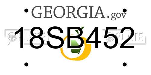 18SB452 Georgia License Plate