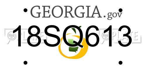 18SQ613 Georgia License Plate