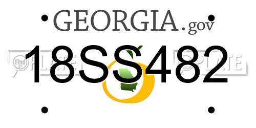 18SS482 Georgia License Plate