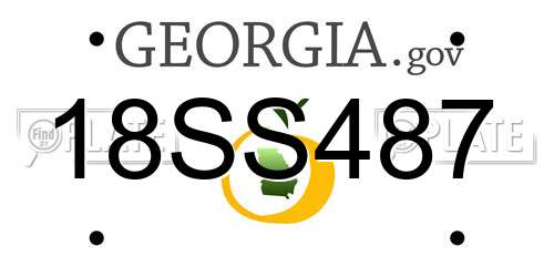 18SS487 Georgia License Plate