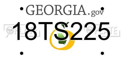 18TS225 Georgia License Plate