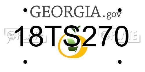 18TS270 Georgia License Plate