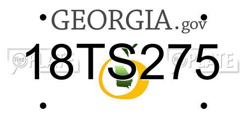 18TS275 Georgia License Plate