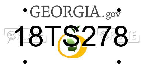 18TS278 Georgia License Plate