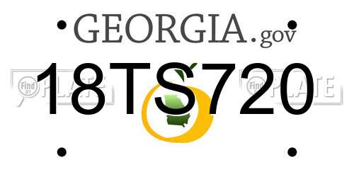 18TS720 Georgia License Plate