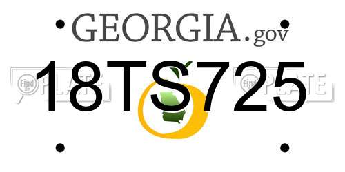18TS725 Georgia License Plate