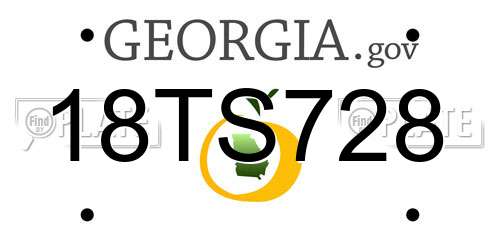 18TS728 Georgia License Plate