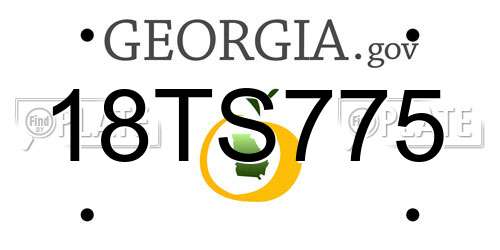 18TS775 Georgia License Plate