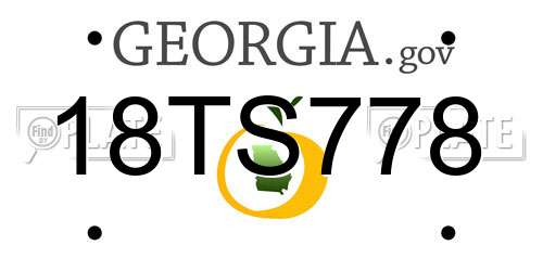 18TS778 Georgia License Plate