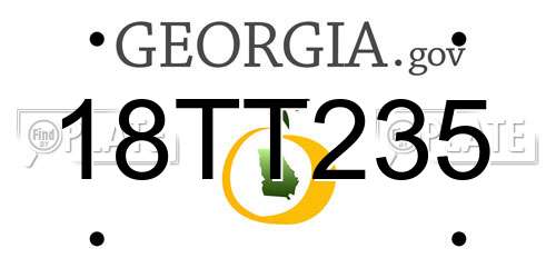 18TT235 Georgia License Plate