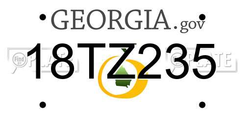 18TZ235 Georgia License Plate