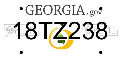 18TZ238 Georgia License Plate