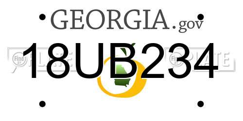 18UB234 Georgia License Plate