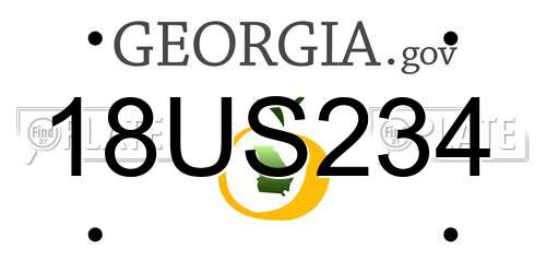 18US234 Georgia License Plate