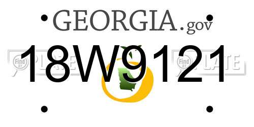 18W9121 Georgia License Plate