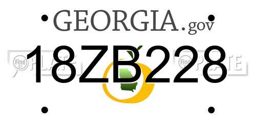 18ZB228 Georgia License Plate