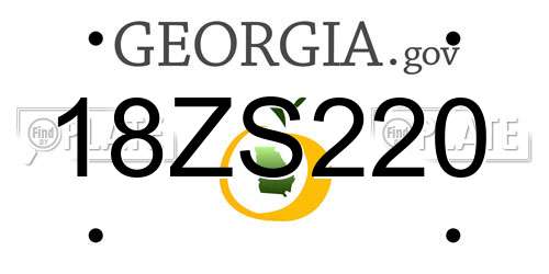 18ZS220 Georgia License Plate